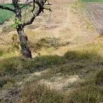 terreno en 3 de diciembre