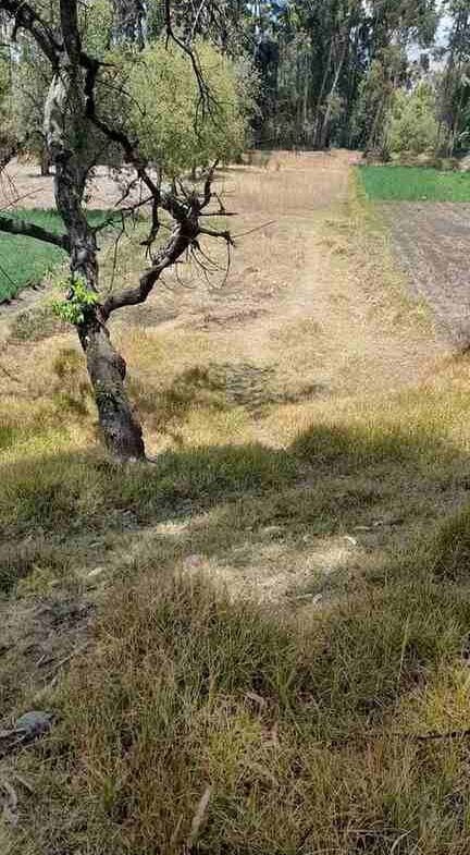 terreno en 3 de diciembre