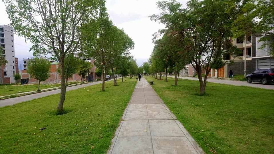 alquilo departamento en alto la merced