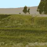 Huacrapuquio