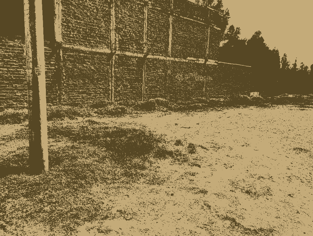 San Carlos leonidas San Carlos leonidas