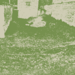 San_pedro_de_saño