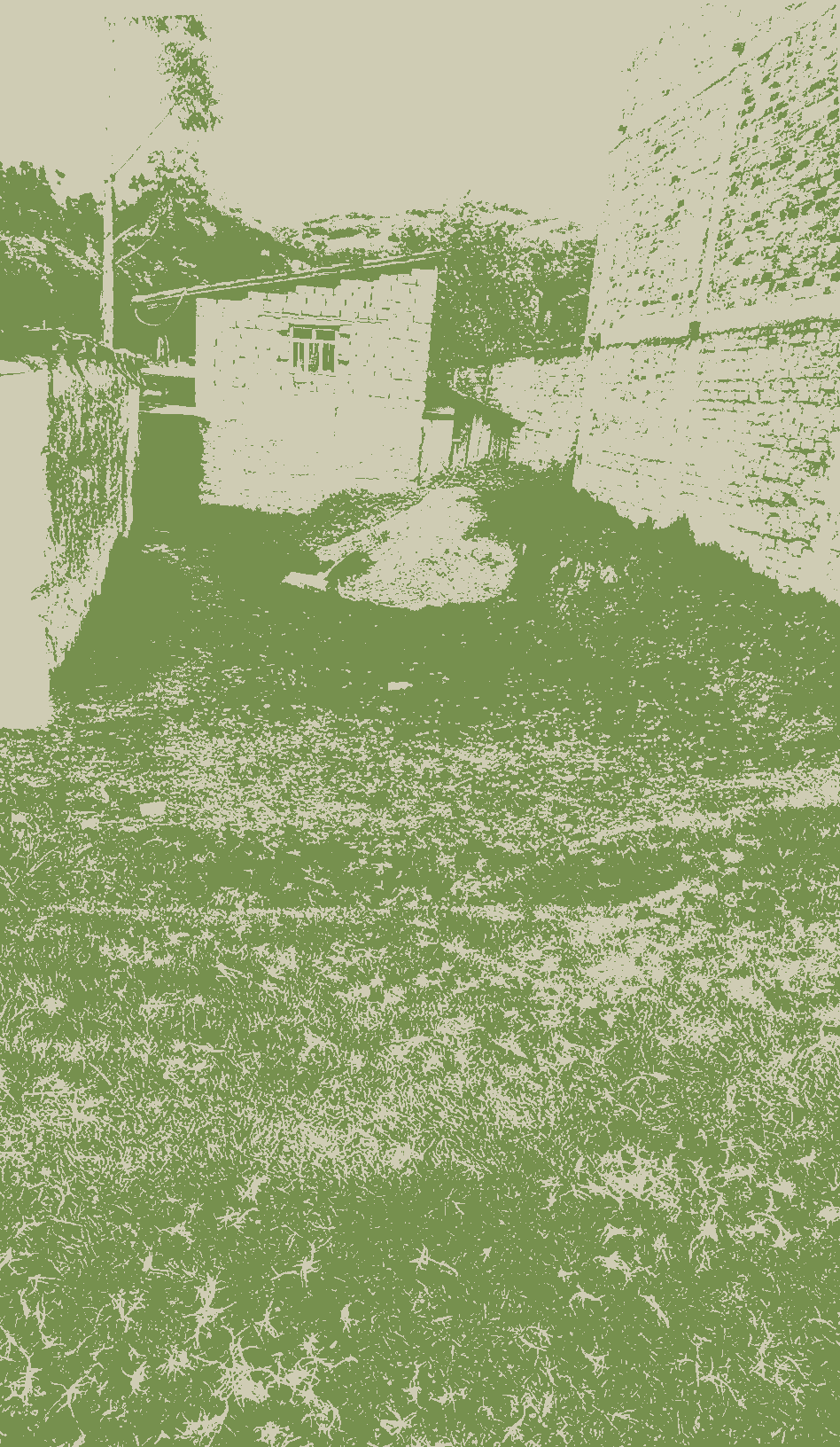 San-pedro-de-sano San_pedro_de_saño