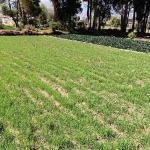 terrenoHuamancacaJuan2