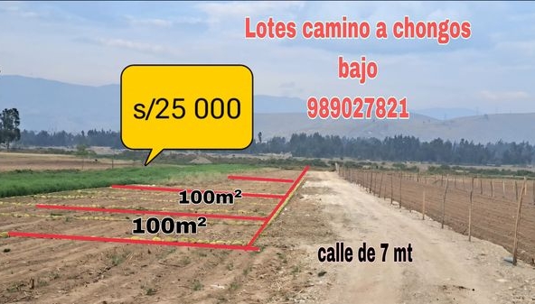 LOTES PARA CASA DE CAMPO