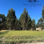 Venta de lotes desde 453.32 M2